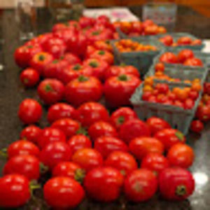 Meet your Posher, Todd